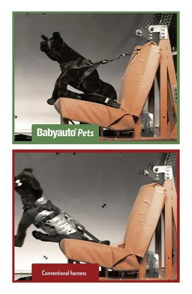 6 BABYAUTOPETS-PROTO CRASH-Web 1-127
